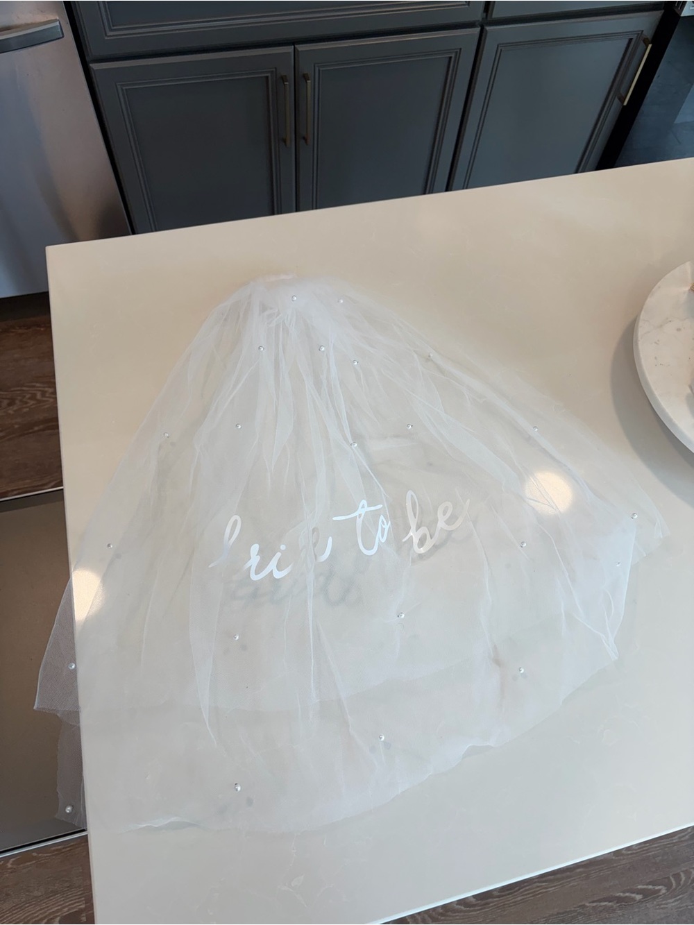 “Bride to Be” Veil with Pearls